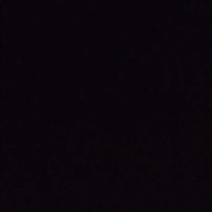 Meet your Posher, Charlotte